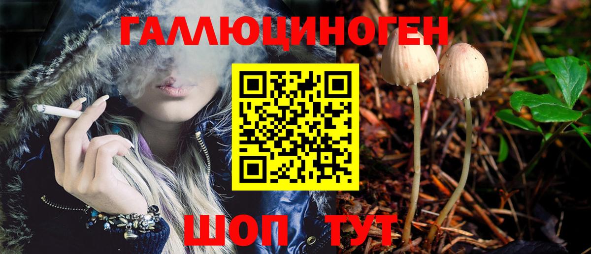 Галлюциногенные грибы прущие грибы  Вход с VPN  Озёрск  Галлюциногенные грибы мицелий 